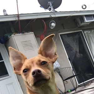 Meet your Posher, Berta